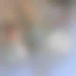 Traka za popravku komarnika | INSECTAPE