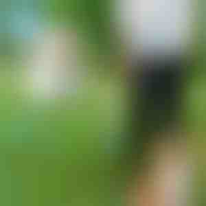 Povodac za pse bez upotrebe ruku | CROSSLEASH