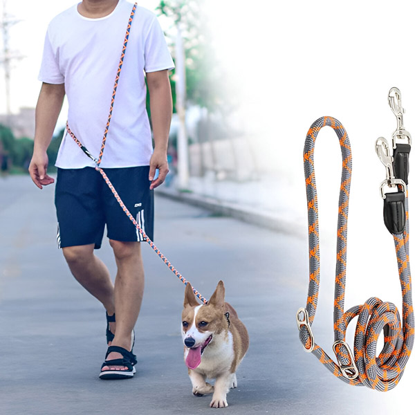 CROSSLEASH