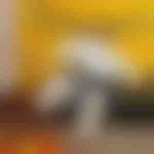 Naduvavajući sumo kostim | SUMOCOS