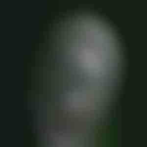 Vrtna magija kinetička vetrenjača | VINDARA