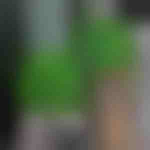 Veštačka biljka lopta | TOPIORB