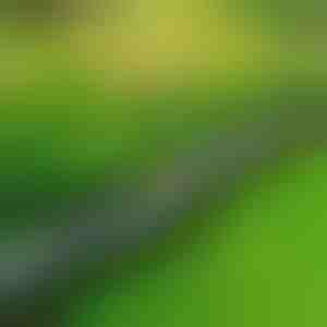 Kameni rub za baštu (10 kom.) | MINIFENCE