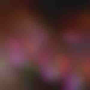 Solarna baštenska svetla u obliku cveta | BLOSSUN