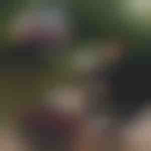 Sklopiva kanta za pecanje | RIBETINA