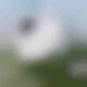 Jednostavno čišćenje prozora | WINDOWSWIPE