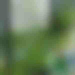 Pločice od veštačkog trave za dekoraciju (5 komada) | GRASSTILE