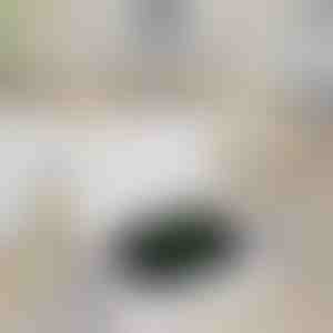 Prenosiva banka za punjenje satova | WATCHBANK